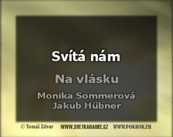 Monika Sommerová, Jakub Hübner